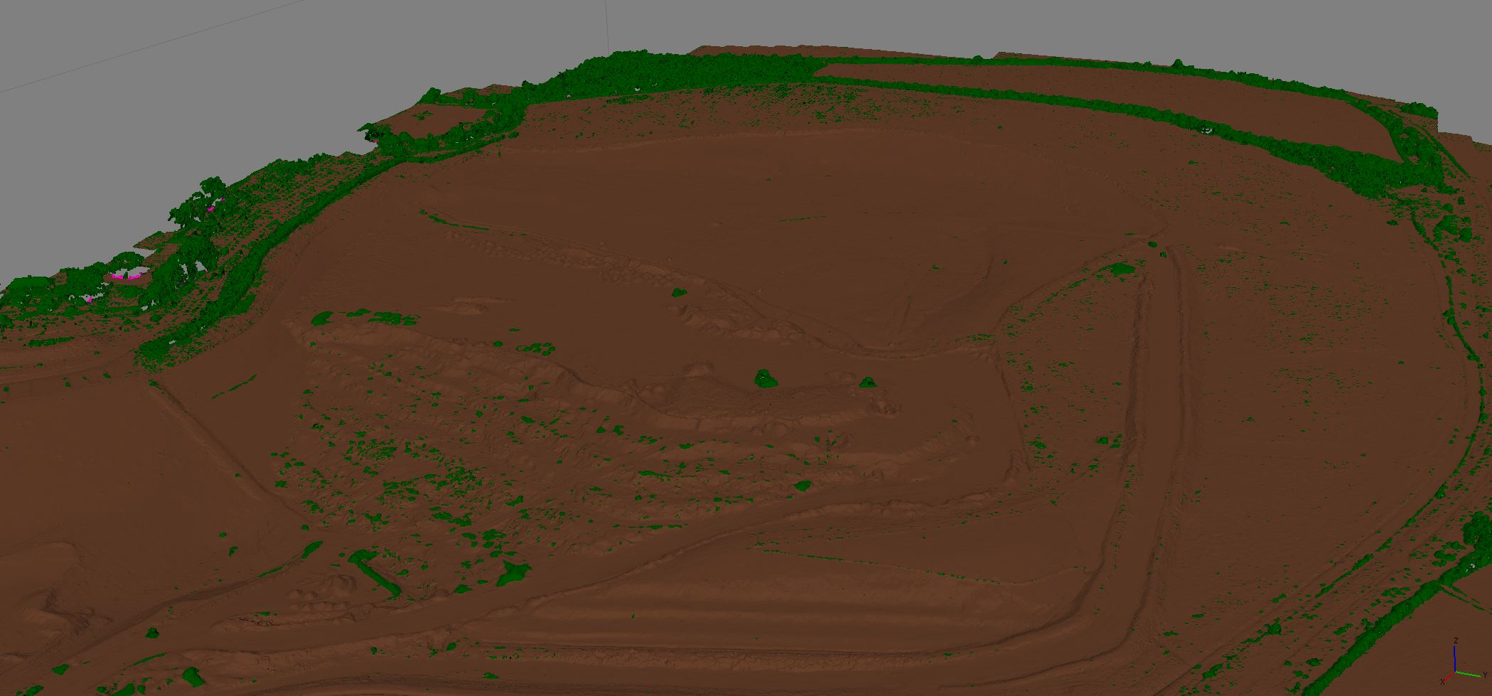 Filtered out vegetation from ground level